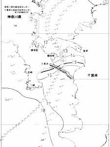 東京湾口海況図(2021/01/14)