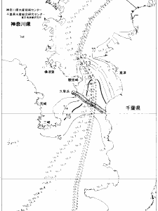 東京湾口海況図(2021/01/20)