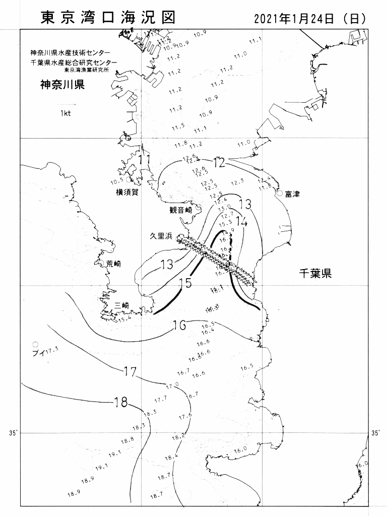 海況図, 東京湾口海況図 検索結果, (水温分布 等を図示)