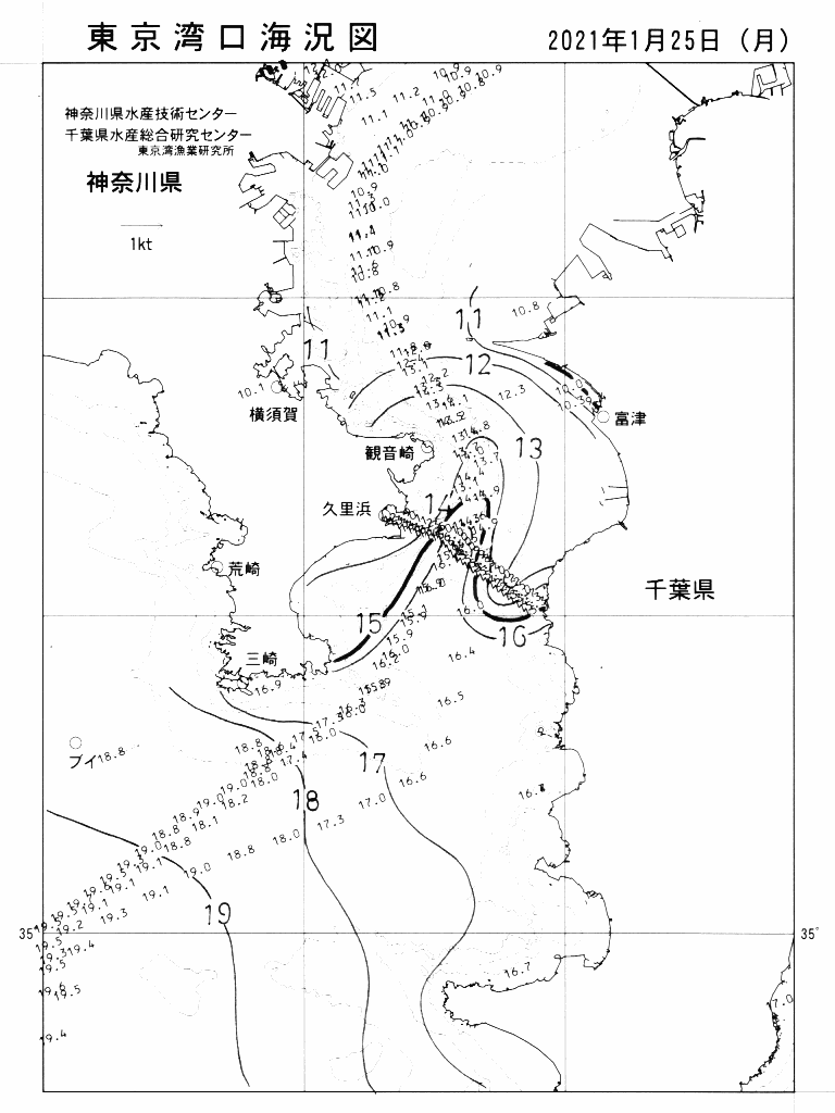 海況図, 東京湾口海況図 検索結果, (水温分布 等を図示)