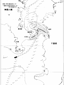東京湾口海況図(2021/01/28)