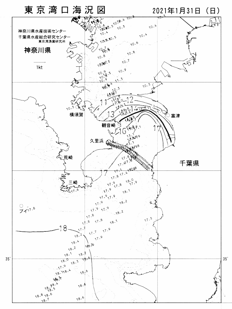 海況図, 東京湾口海況図 検索結果, (水温分布 等を図示)