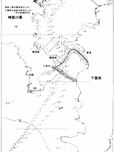 東京湾口海況図(2021/02/01)