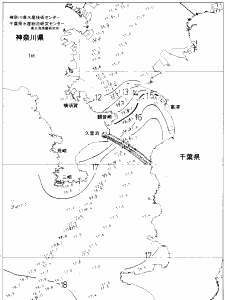 東京湾口海況図(2021/02/03)
