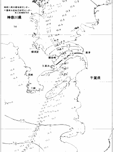 東京湾口海況図(2021/02/06)