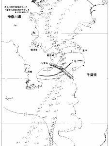 東京湾口海況図(2021/02/08)