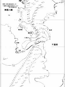 東京湾口海況図(2021/02/20)