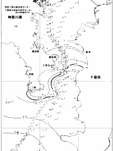 東京湾口海況図(2021/02/28)