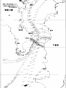 東京湾口海況図(2021/03/01)