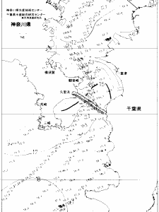 東京湾口海況図(2021/03/05)