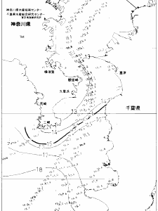 東京湾口海況図(2021/03/10)