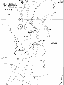 東京湾口海況図(2021/03/13)