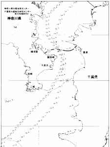 東京湾口海況図(2021/03/23)