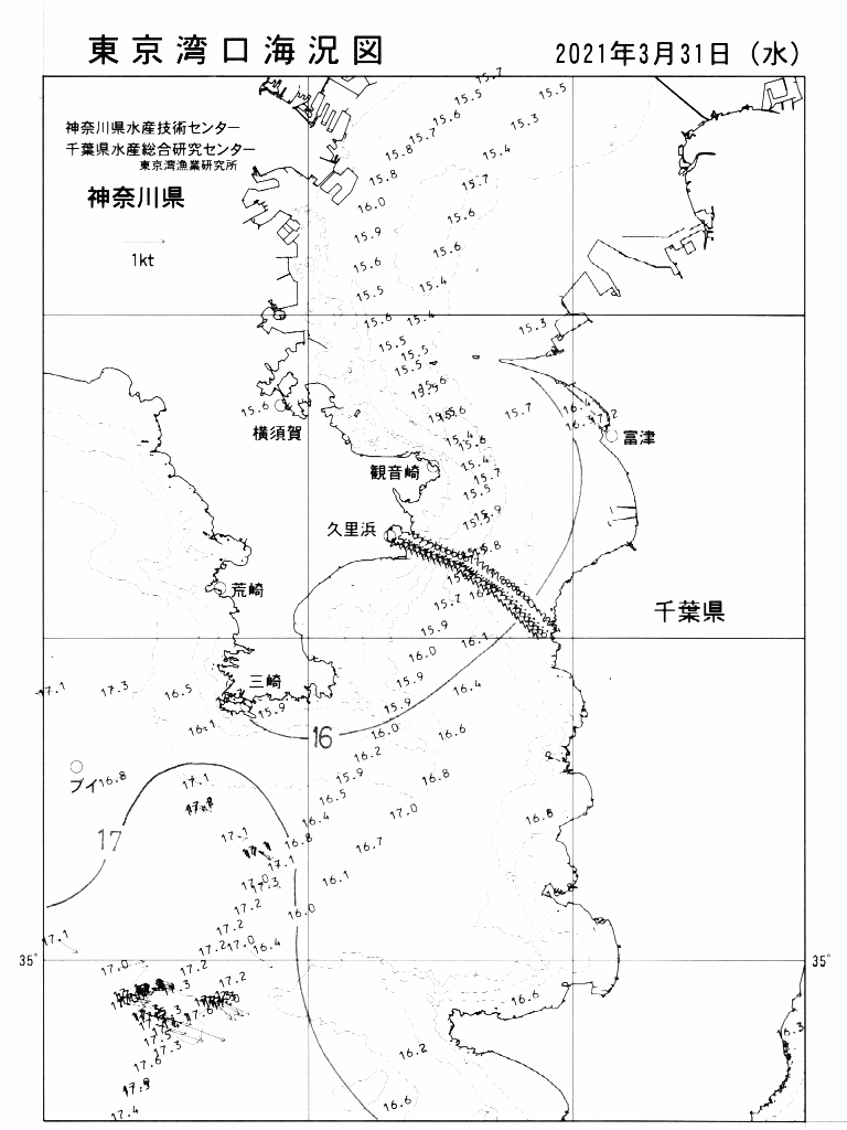 海況図, 東京湾口海況図 検索結果, (水温分布 等を図示)