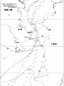 東京湾口海況図(2021/04/30)