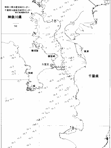 東京湾口海況図(2021/05/11)