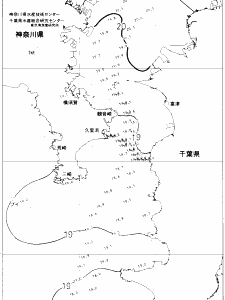東京湾口海況図(2021/05/29)