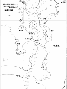 東京湾口海況図(2021/06/15)