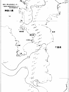 東京湾口海況図(2021/06/19)