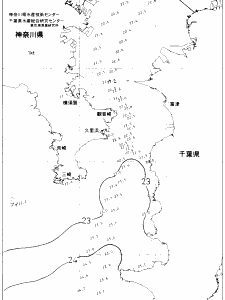 東京湾口海況図(2021/06/20)