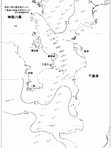 東京湾口海況図(2021/06/25)