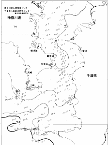 東京湾口海況図(2021/06/30)