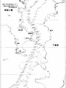 東京湾口海況図(2021/07/03)