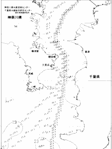 東京湾口海況図(2021/07/04)
