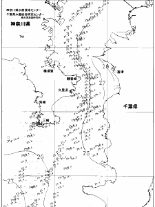 東京湾口海況図(2021/07/21)