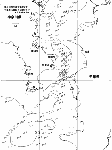 東京湾口海況図(2021/07/24)