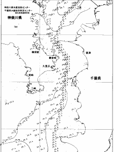 東京湾口海況図(2021/07/25)
