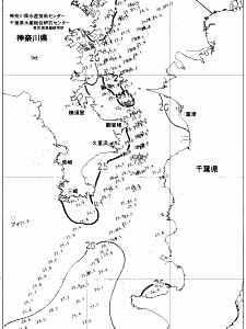 東京湾口海況図(2021/07/29)