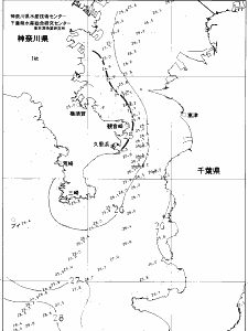 東京湾口海況図(2021/07/31)