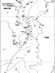 東京湾口海況図(2021/08/03)