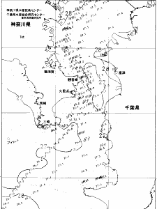 東京湾口海況図(2021/08/04)