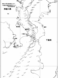 東京湾口海況図(2021/08/06)