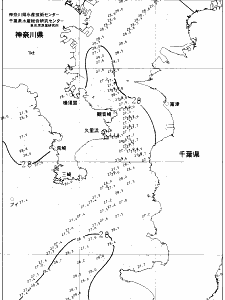 東京湾口海況図(2021/08/07)