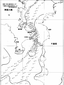 東京湾口海況図(2021/08/09)