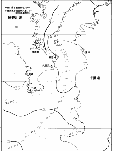 東京湾口海況図(2021/08/10)