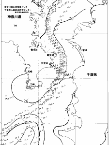 東京湾口海況図(2021/08/11)