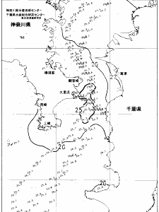 東京湾口海況図(2021/08/12)