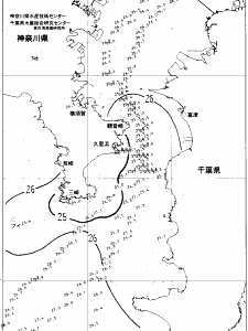 東京湾口海況図(2021/08/13)
