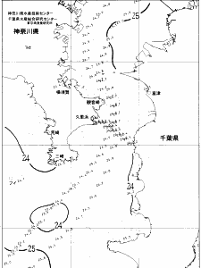 東京湾口海況図(2021/08/16)