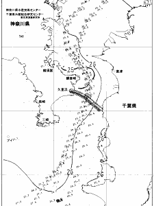 東京湾口海況図(2021/08/22)