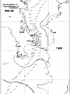 東京湾口海況図(2021/09/07)