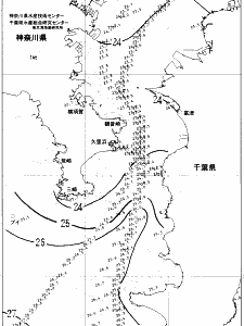 東京湾口海況図(2021/09/23)