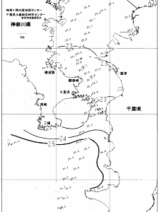 東京湾口海況図(2021/10/12)