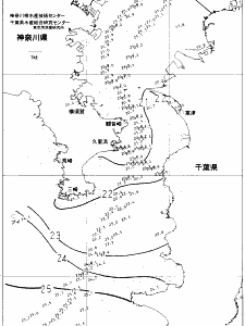 東京湾口海況図(2021/10/19)