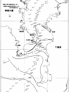 東京湾口海況図(2021/10/29)