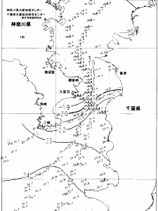 東京湾口海況図(2021/11/02)
